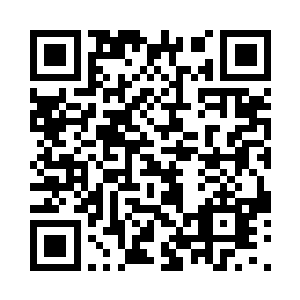 和以后葱郁的森林成了一幅明显的反比二维码生成