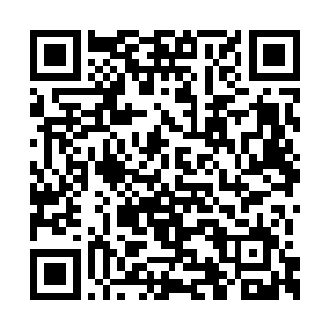 和即将开始的这一段新生活――终于不用上学了二维码生成