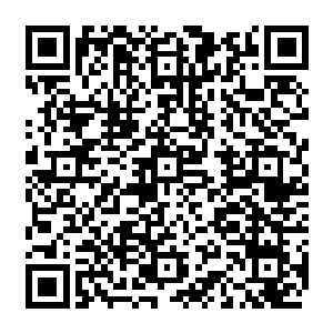 和黑衣教主他们一起进来的一众白衣人托着手里的盘子围绕在酒池等着任务的下达二维码生成