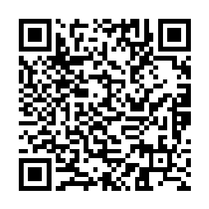 咱们就这么便宜了洛夫蒙维奇跟藤佐一郎那两个混蛋二维码生成