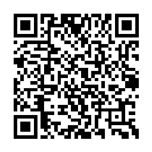 哇哇哇的哭叫声不断的在端木紫的脑海之中响彻二维码生成