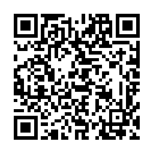 哈佛大学肯尼迪政府学院很重视这次岭西代表团的培训学习二维码生成