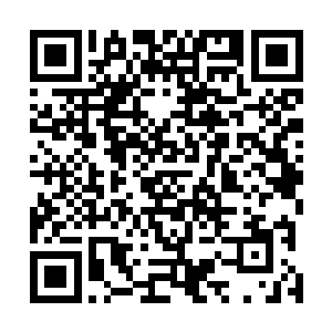 哈维当然不会傻乎乎地去问珍妮弗到底从哪里收到的消息二维码生成