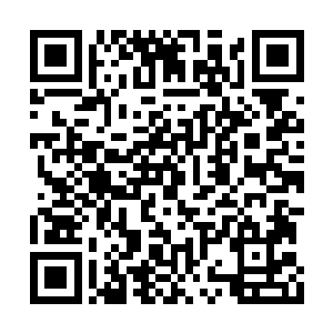 哈里和多萝西娅已经把仙桃村当成了自己的家吗二维码生成