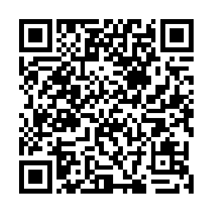 哪一个后起之秀在修炼成长的路上没有听说过杨开的大名二维码生成
