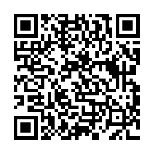 哪怕他现在还不知道自己的这个哥哥和小弟的目的是什么二维码生成