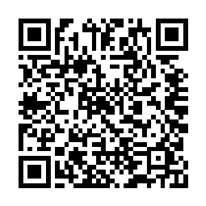 哪怕是七大宗门之中的最出色最年轻的精英人物二维码生成