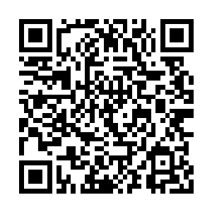 哪还有半点当初提着一箱子钱扔桌子上的气派啊二维码生成