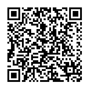 唐伊诺抽空在出租车上给杨晨简单地汇报了一下这几天她的工作情况二维码生成