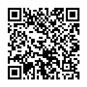 唐怀远连自己辛辛苦苦才弄到手的血珊瑚都可以一起交出来……二维码生成