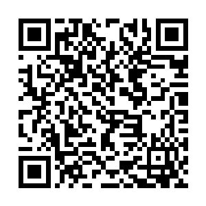 唐晓茹带着他们一起玩学校的办公楼校长室过去了二维码生成