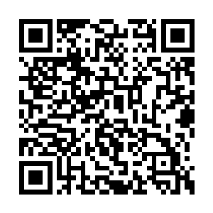 唐玥用袍子下的内衬将凤君曜背后的伤给包裹好二维码生成