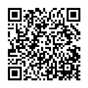 唐铮从已经攫取到的支离破碎的信息已经可以判定一件事二维码生成