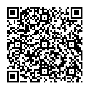 唐长老不妨把你辛辛苦苦盗来的那一块血珊瑚拿出来看看真假……如果我没有记错的话二维码生成