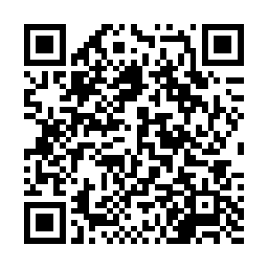 唯一的差别就是此物的坚硬程度远不是四周的石头能比的二维码生成