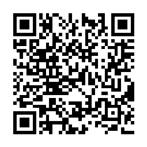 唯一还能勉强算上战力的虎豹妖王双拳难敌无数手二维码生成