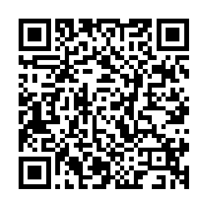 唯有一颗小小的却无比醒目的青翠碧绿果实充斥了众人的双眼二维码生成