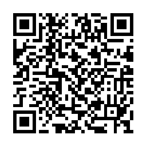 唯有化气境的剑者才能够从灵石当中吸收到灵气二维码生成