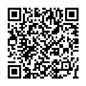 唿噜唿噜的连肉带汤外加半张大饼吃了个干净后二维码生成