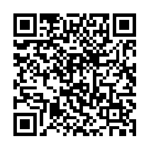 啊……杀了我吧……他们居然……居然为了几根破针二维码生成