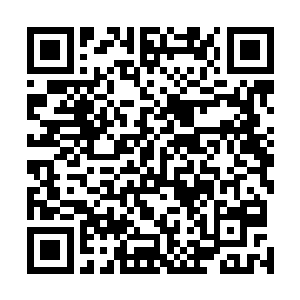 喜姑姑挑给她的大多比明湘明洛两个穿在身上的要贵气些二维码生成