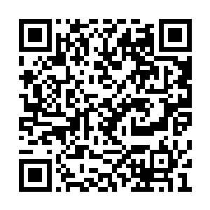 喝了几口老烧锅的齐二爷却是只能被保护在后面二维码生成