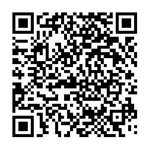 喷托维林以及巴克最爱用的口咽通气管之类的物件密密麻麻写了一大黑板二维码生成