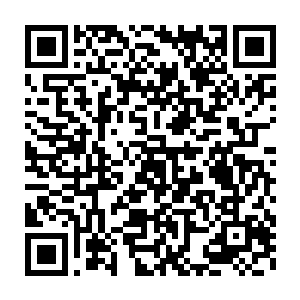 嘈杂凌乱却繁多的声音证明他的身后有无数变异地鼠正向他追逐而来二维码生成