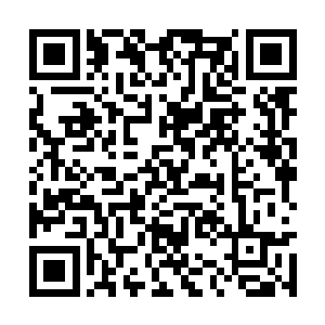 嘴角勾着邪魅冷笑的吴虎臣朝着海族这边看了过来二维码生成