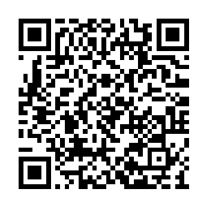 器一和器二在前几天刚刚突破到九品初期仙器师二维码生成