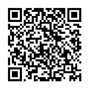 四下堆散的书籍和乐器并没有给这房间添加分毫的生气二维码生成