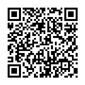 四人从自己的位置上面走下站到了季疏云的身边二维码生成