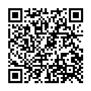 四名少年中唯一的女孩温温不可置信地低喊质问二维码生成