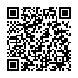 四圣灵也感觉到体内的能量已经重归他们的掌控二维码生成