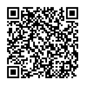 四大选帝侯家族当然处心积虑想要暴力破解皇家图书馆深处的秘密二维码生成