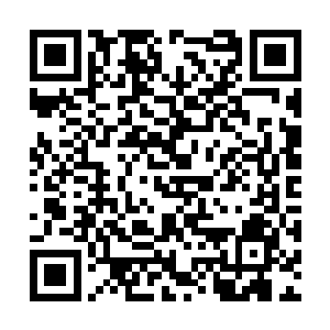 四散的人群瞬间被白色风暴给刮得打着旋地飘走了二维码生成