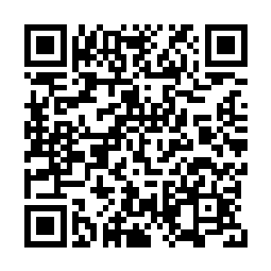 回到了宋家牌坊宋芳芳家中没多久余局长就来了二维码生成