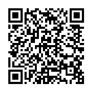 回到学校安排组织本届毕业班班主任学习今年的相关政策二维码生成