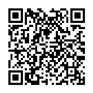 回头看了看进入殿中的小岩后又再看向面前的夭华二维码生成