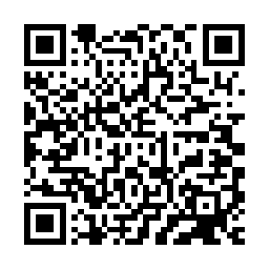 回头让我两个关门弟子带你去藏宝那现在就不叨扰你们的清修了二维码生成