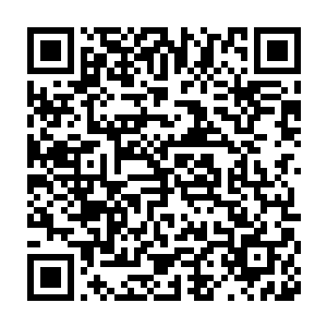 回应他的是更加高亢的哭声在一望无垠的荒漠上好像传得很远很远二维码生成