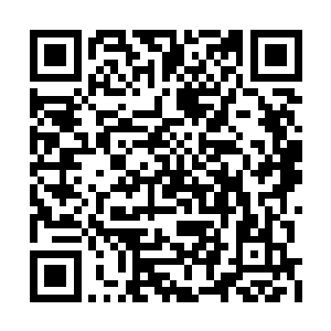 回来看见巴克已经换了一只德国测距望远镜在看二维码生成