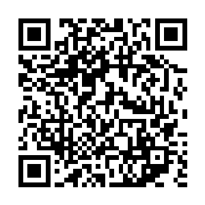 回溯的东西是在他这个角色经历过的时间轴上随机抽取的二维码生成