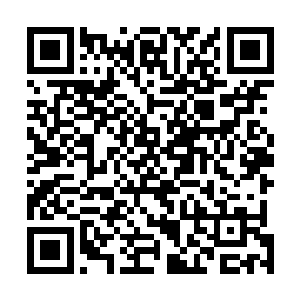 因为一心想着要飞国外去亲密接触自己哈了很久的模特儿二维码生成