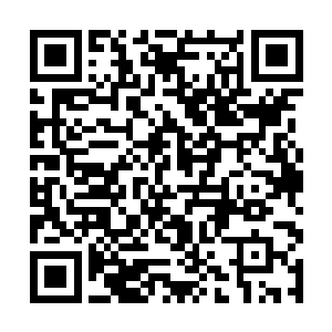 因为一般的蛟化龙第八道天雷的时候都会受很重的伤二维码生成