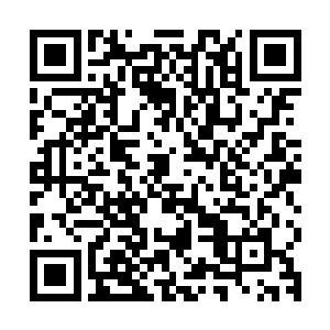 因为不能确定使用轮回符开启真武疑冢任务会不会直接进入世界二维码生成