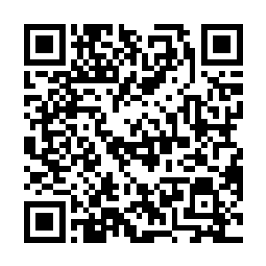 因为五位年青人中至少有一半都具有传统的书呆子气息二维码生成