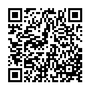 因为从对方加一块下品仙晶的价格上就能够看出来二维码生成