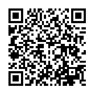 因为从楚旬体内激射而出的强酸血液也落在了他的指尖之上二维码生成