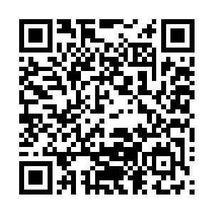 因为他们从这个国家得到的只有无休止的凌辱和满满的恶意二维码生成